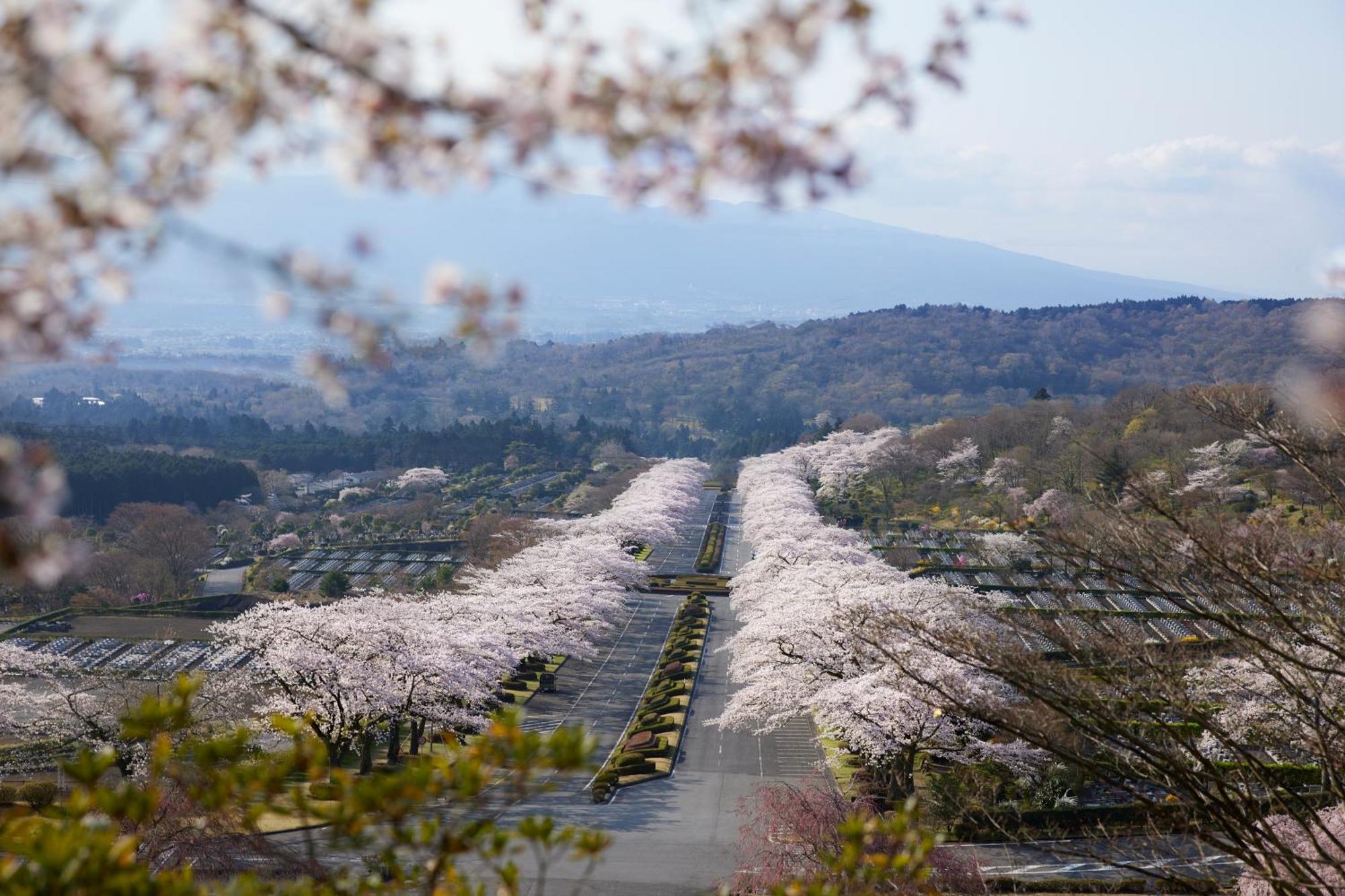 Fuji Speedway Hotel, In The Unbound Collection By Hyatt Oyama  Екстер'єр фото