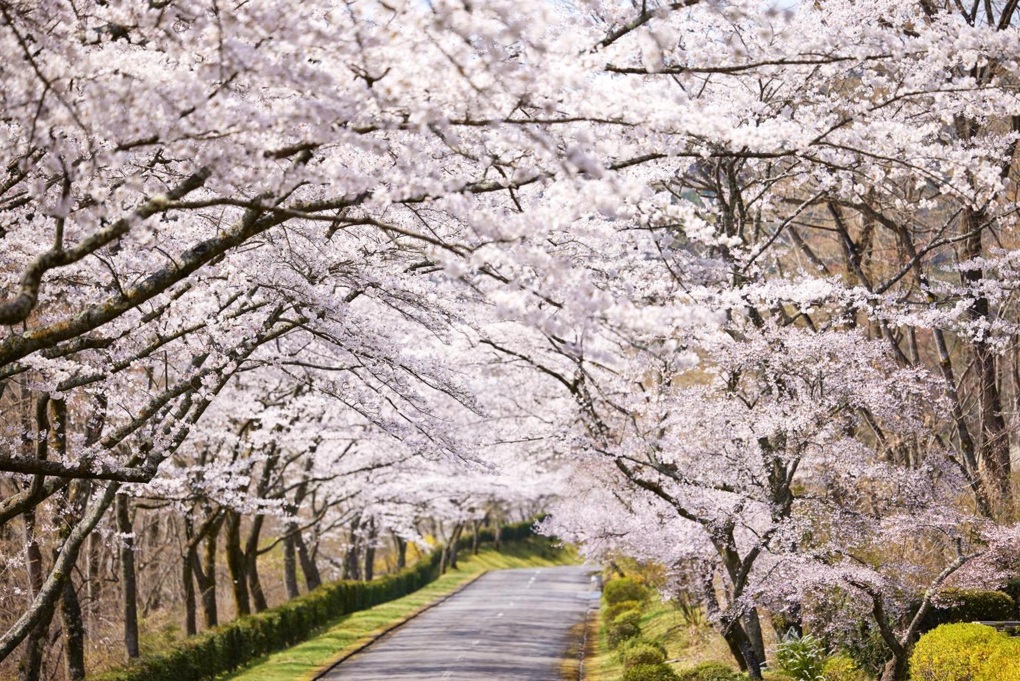 Fuji Speedway Hotel, In The Unbound Collection By Hyatt Oyama  Екстер'єр фото
